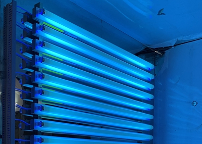 如何通過(guò)UV紫外光照實(shí)驗(yàn)箱構(gòu)建動(dòng)物皮膚光老化模型？